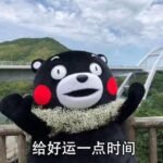 Ray-acehub.cc