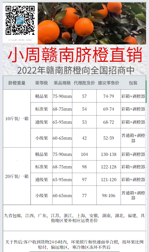 赣南脐橙产地直销，直达源头，招代理-供应链论坛-电商项目-acehub.cc
